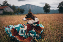 Lade das Bild in den Galerie-Viewer, YAKU